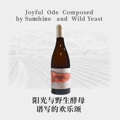 南非原装进口Daschbosch大宝肌肤之亲干白葡萄酒（橘酒）聚餐烧烤