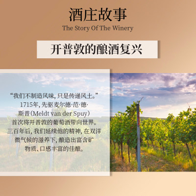 南非原装进口开普敦赤霞珠美乐混酿干红葡萄酒果香佐餐家庭聚餐