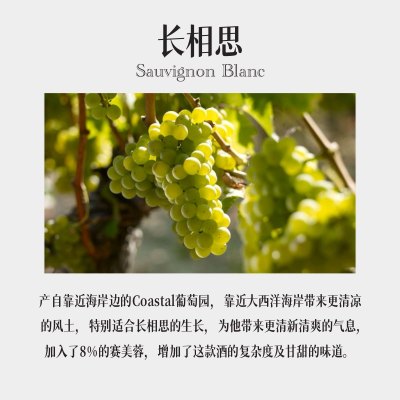 德拉里格拉夫庄园沿海长相思干白葡萄酒南非进口庄园送礼佳品聚会